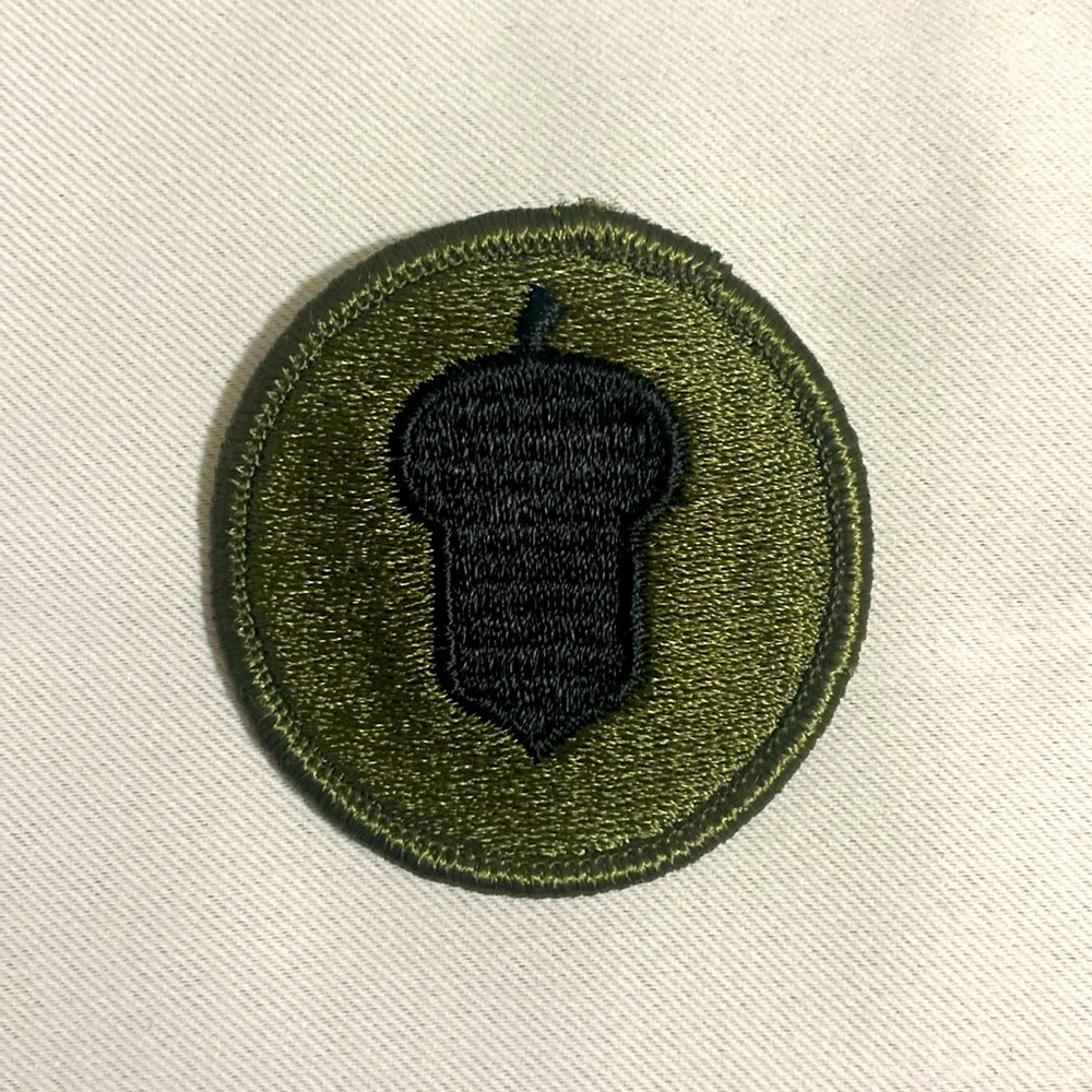 US ARMY 87th Reserve Support Command Subdued Patch